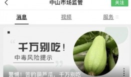 葫芦瓜给小狗吃,小狗的天然美味零食