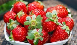 吃草莓了可以吃哈密瓜吗,哈密瓜的甜蜜续篇