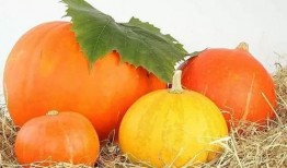 黄金蓝瓜怎么吃,解锁美味新体验