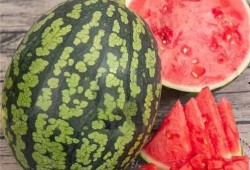 吃明星大瓜,明星大瓜背后的真相与内幕