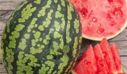 吃明星大瓜,明星大瓜背后的真相与内幕