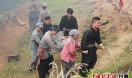 成县吃瓜事件视频,一场网络舆论的风暴与反思