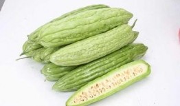 月经吃凉瓜停止排污