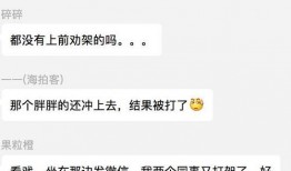 吃瓜群众视频在,短视频背后的社会现象与心理洞察