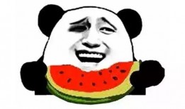 吃瓜大队副队长,揭秘娱乐圈幕后风云