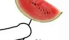 吃瓜解剖图片,水果背后的奇妙世界