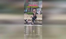 吃瓜群众点唱视频,热门视频背后的音乐盛宴