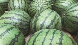 地瓜网站吃瓜,揭秘吃瓜群众的快乐源泉