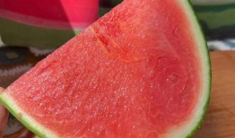 黑藤吃瓜,揭秘娱乐圈背后的秘密与真相