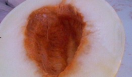 减肥期间吃伊丽莎白瓜,清爽低卡，轻松享瘦新选择