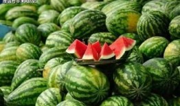 都在哪里吃瓜的,揭秘“都在哪里吃瓜”现象背后的网络文化现象