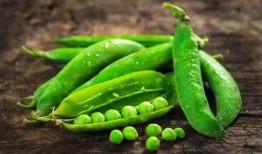 闷豆吃瓜,揭秘娱乐圈背后的秘密与八卦