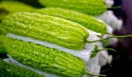 孕妇吃籁瓜好吗,孕妇适量食用籁瓜有益健康