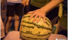 好玩的吃瓜大赛,好玩的吃瓜大赛，一场舌尖上的盛宴