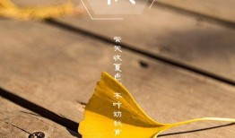 吃瓜吃的挺快乐的图片,揭秘“吃瓜群众”的快乐源泉