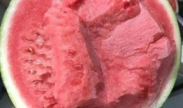 炸裂的小白瓜怎么吃,创意美食新体验