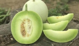 玉脆瓜是水晶瓜嘛怎么吃,水晶瓜的味蕾盛宴，这样吃更美味