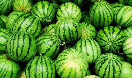 兰职吃瓜,一场别开生面的“吃瓜”盛宴