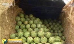 婚庆行业吃瓜,揭秘幕后“吃瓜”事件