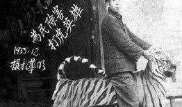 沂南吃瓜事件始末,一场网络热议背后的真相与反思