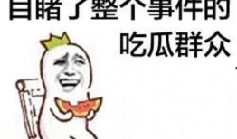 吃瓜群众刺激事件,刺激事件背后的真相揭秘