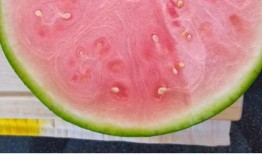 为什么吃瓜要吃完再吃,为何要吃完再吃？揭秘背后的饮食智慧