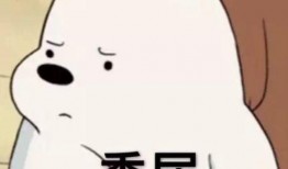 幽兰吃瓜表情包,揭秘网络热图的趣味与魅力