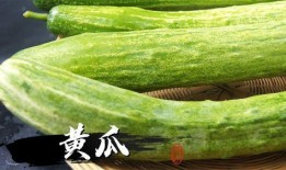 绿赖瓜怎么吃,探索健康美味的新选择