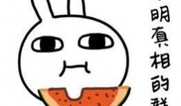 吃瓜污的意思,网络热词背后的文化现象与心理解读