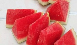 好玩的吃瓜大赛,好玩的吃瓜大赛，一场舌尖上的盛宴