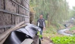 桥洞吃瓜的视频,揭秘网络热传视频背后的故事