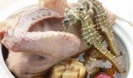 海马吃瓜视频,揭秘海洋生物的趣味食性