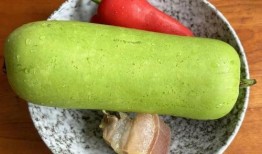 苳瓜怎么吃,探索健康美味的烹饪之道