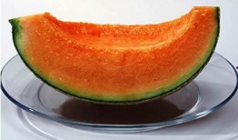 瓜州特色免费吃瓜买特产,免费吃瓜盛宴，畅享特色特产之旅