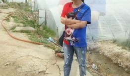 赣榆话吃瓜,揭秘地方方言中的趣味生活