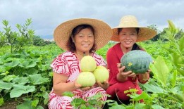 慧妈咪吃瓜,揭秘娱乐圈幕后故事