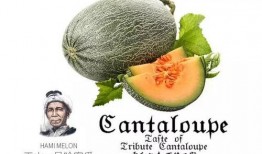 1号吃瓜玩家,揭秘娱乐圈幕后风云