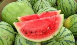 吃瓜群田心三水,吃瓜群里的欢乐时光