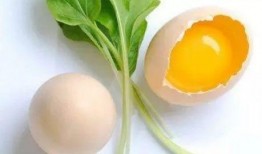 吊瓜可以跟鸡蛋一起吃吗,健康美味两不误