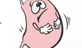 肠胃不好可以吃瓜6,揭秘适合肠胃不好的美味选择