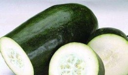 苏打喜吃瓜日常,揭秘娱乐圈幕后故事