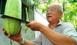 能砍着吃的砍瓜,一瓜多味，尽享田园风味