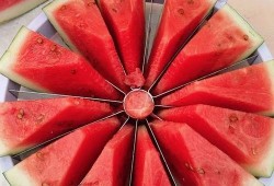 好玩的吃瓜大赛,好玩的吃瓜大赛，一场舌尖上的盛宴