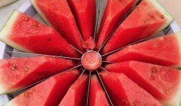 好玩的吃瓜大赛,好玩的吃瓜大赛，一场舌尖上的盛宴