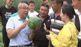 男博士吃瓜,一场校园风云录