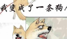 吃瓜吃惊小说,揭秘吃瓜群众的惊人秘密