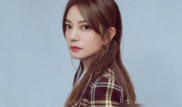 赵薇吃瓜文件,揭秘娱乐圈背后的真相与争议