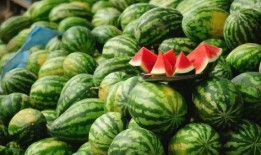 惬意吃瓜完结解说