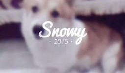 吃瓜少女喵,揭秘娱乐圈幕后故事