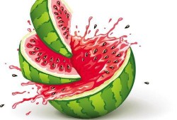 小朋友地里吃瓜,小农夫地里吃瓜记